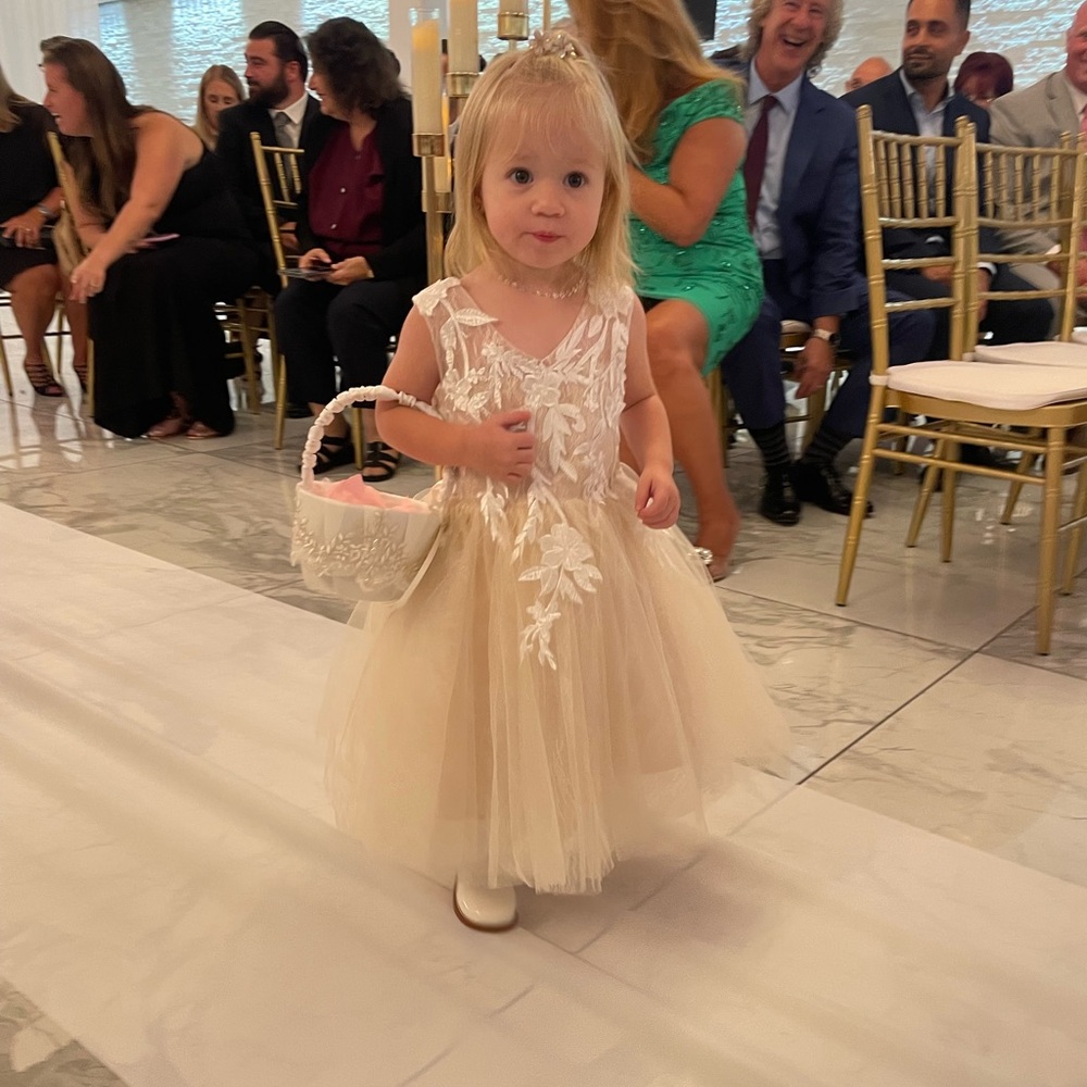 Flower girl dress worn once!